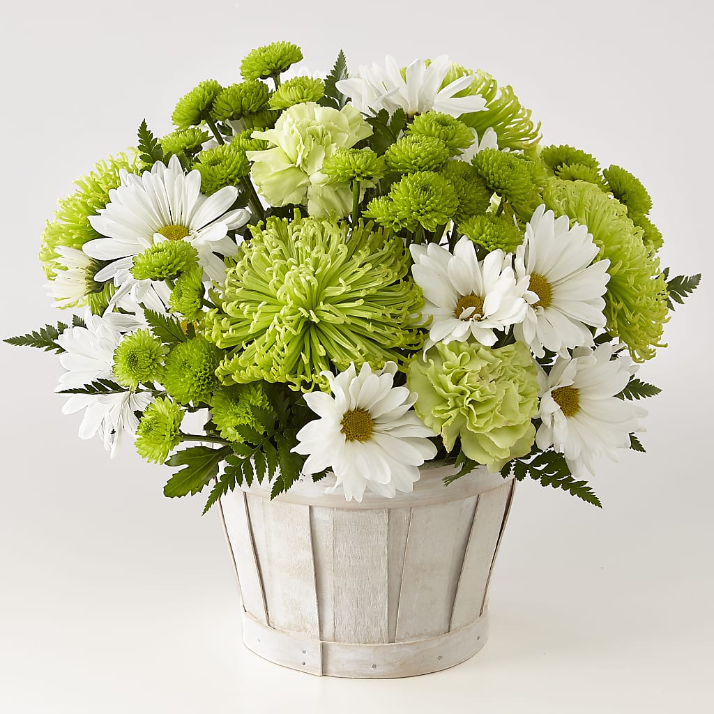 Lucky Charm Basket (Standard) – HELEN'S FLORIST AND GARDEN CENTER, Whitehouse Station NJ