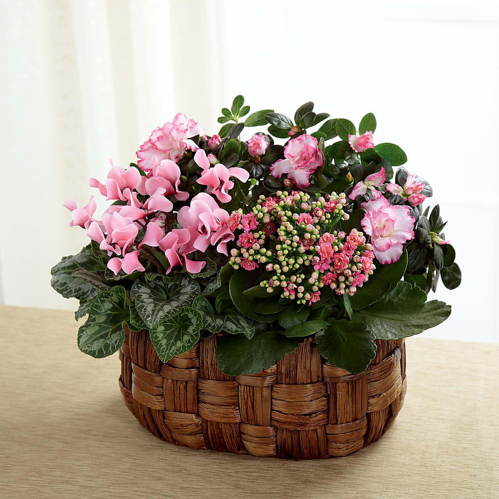 Pink Assortment – HELEN'S FLORIST AND GARDEN CENTER, Whitehouse Station NJ