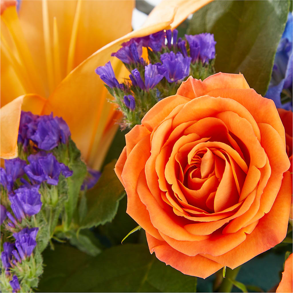 Radiant Citrus Box Bouquet – HELEN'S FLORIST AND GARDEN CENTER, Whitehouse Station NJ