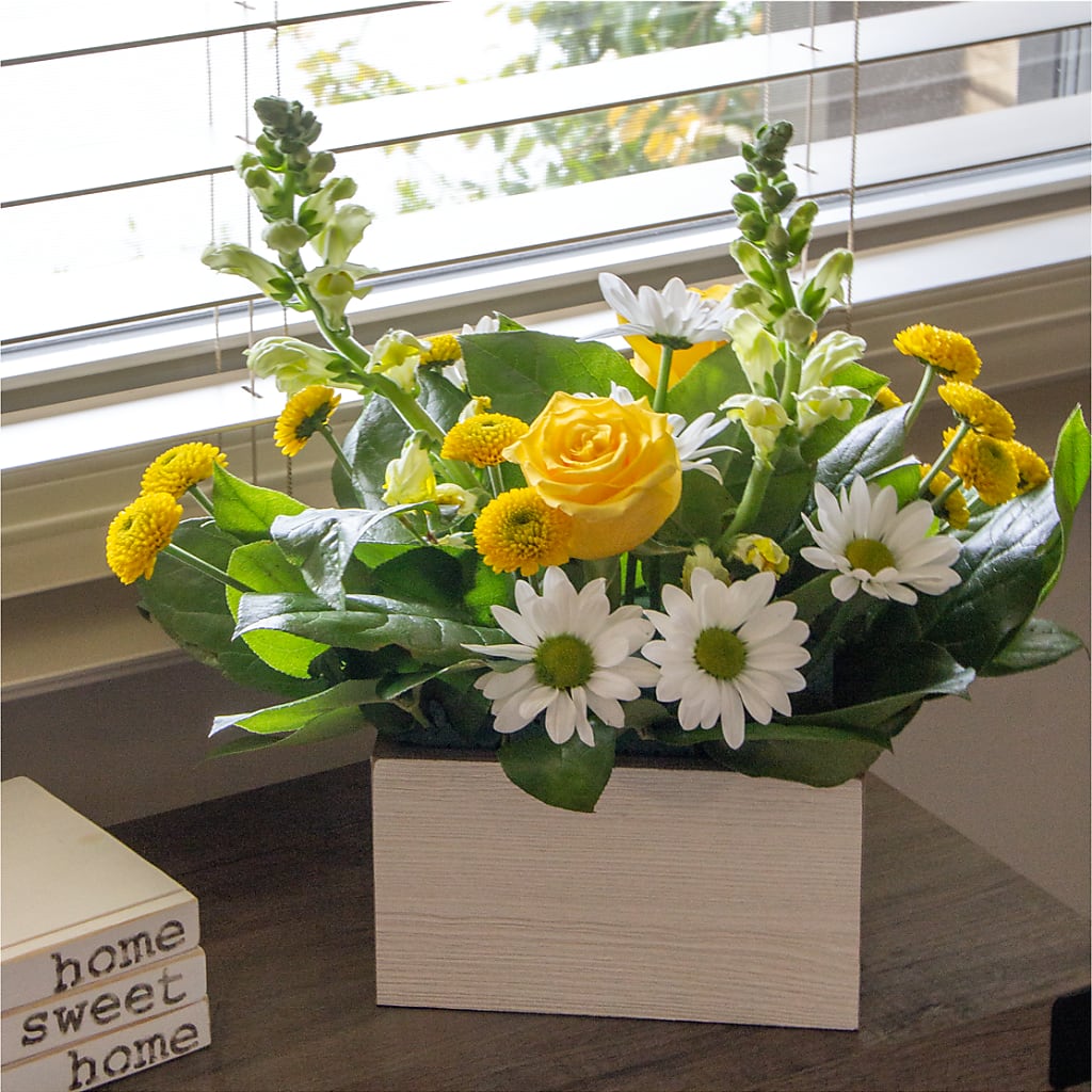 Sun Salutation Box Bouquet – HELEN'S FLORIST AND GARDEN CENTER, Whitehouse Station NJ