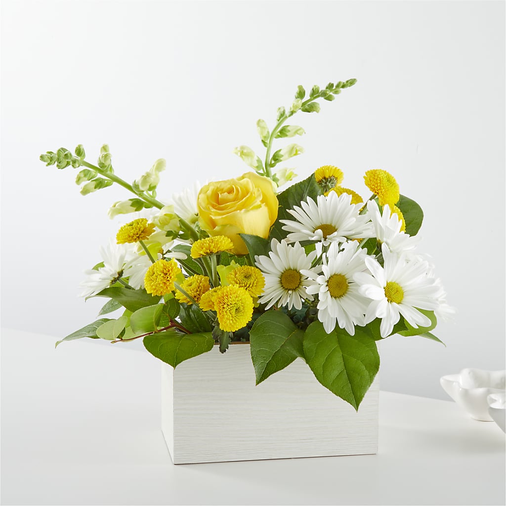 Sun Salutation Box Bouquet – HELEN'S FLORIST AND GARDEN CENTER, Whitehouse Station NJ