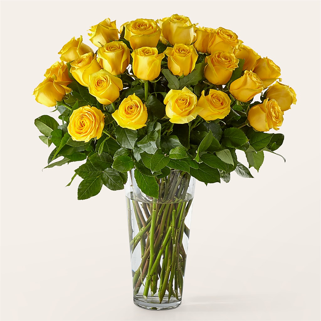Long Stem Yellow Rose Bouquet – HELEN'S FLORIST AND GARDEN CENTER, Whitehouse Station NJ