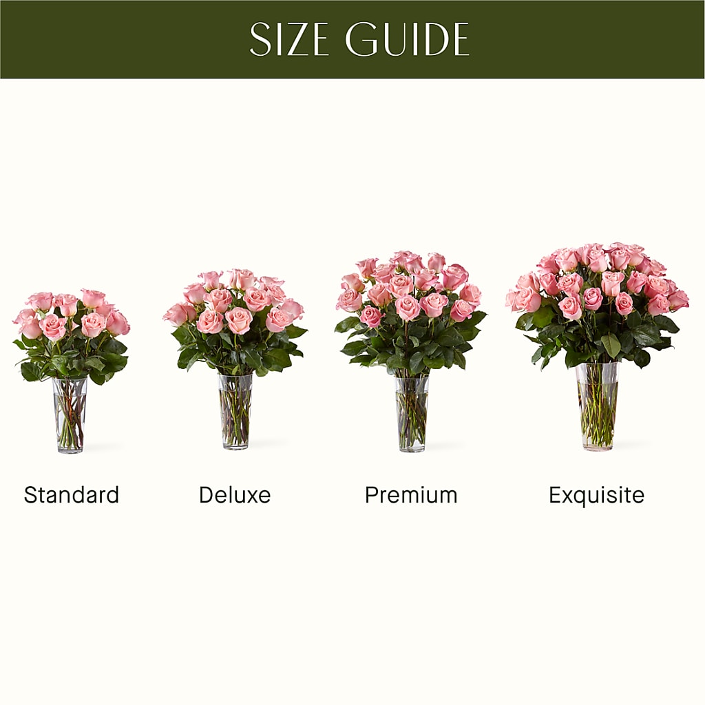 Long Stem Pink Rose Bouquet – HELEN'S FLORIST AND GARDEN CENTER, Whitehouse Station NJ