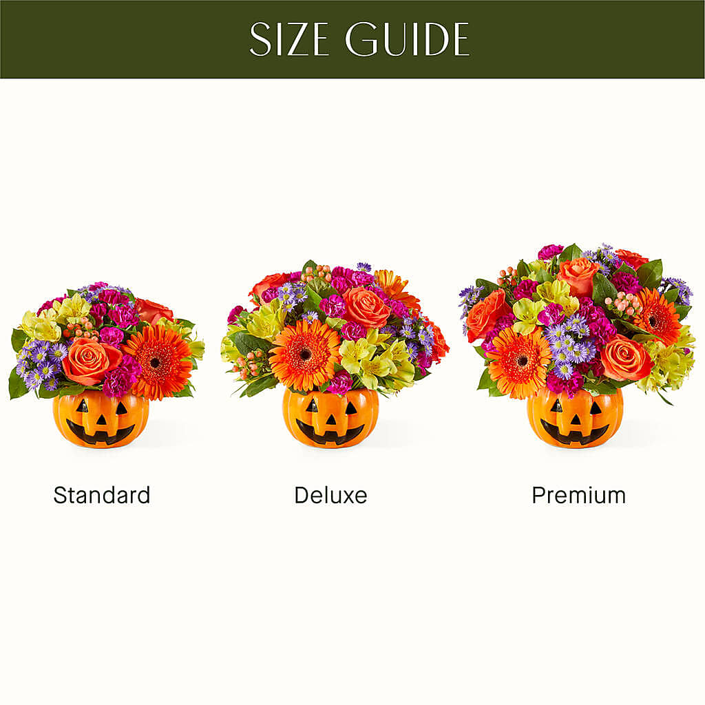 Tricks & Treats Pumpkin – HELEN'S FLORIST AND GARDEN CENTER, Whitehouse Station NJ