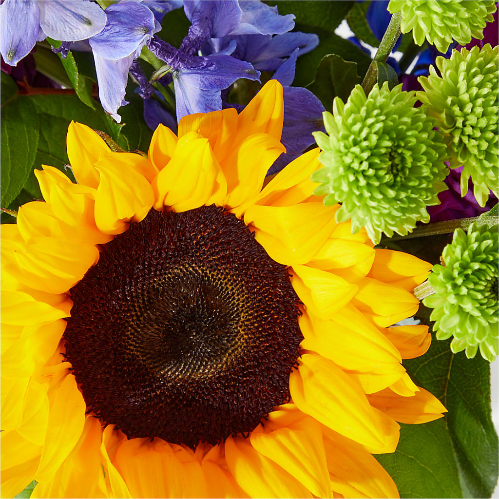 Catching Rays Bouquet – HELEN'S FLORIST AND GARDEN CENTER, Whitehouse Station NJ
