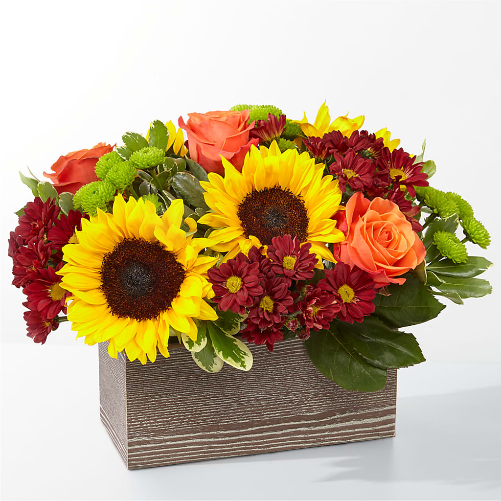 Happy Harvest Garden – HELEN'S FLORIST AND GARDEN CENTER, Whitehouse Station NJ