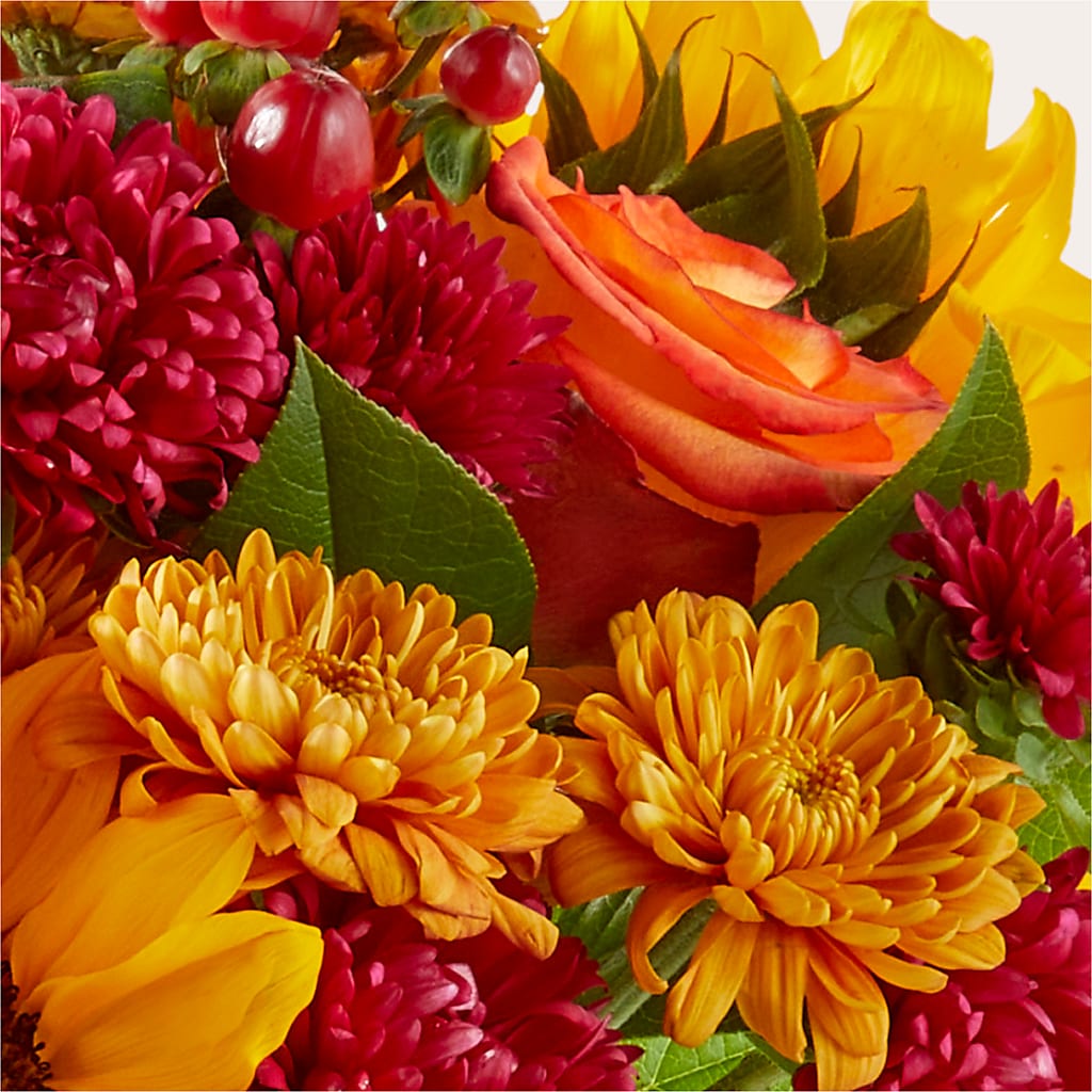 Sweater Season - A Florist Original – HELEN'S FLORIST AND GARDEN CENTER, Whitehouse Station NJ