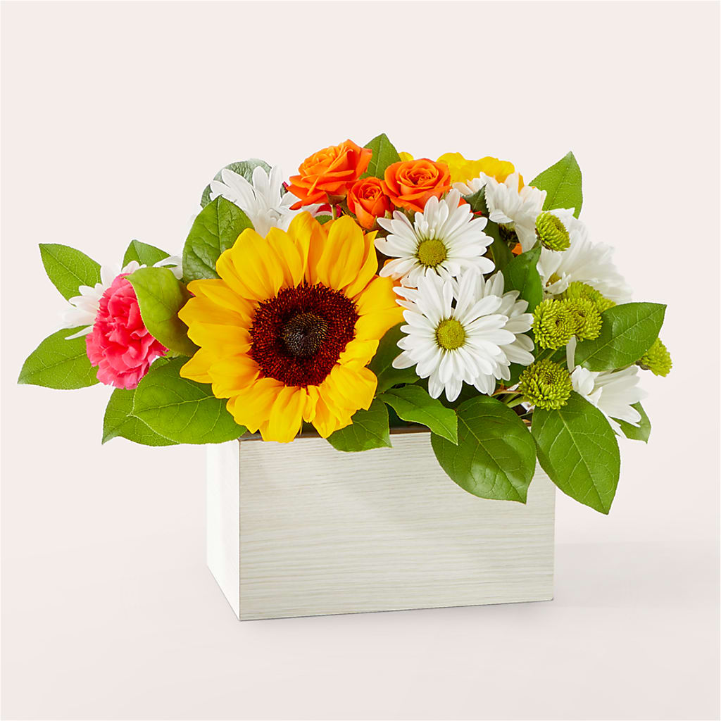 Sun-drenched Blooms Box Bouquet – HELEN'S FLORIST AND GARDEN CENTER, Whitehouse Station NJ