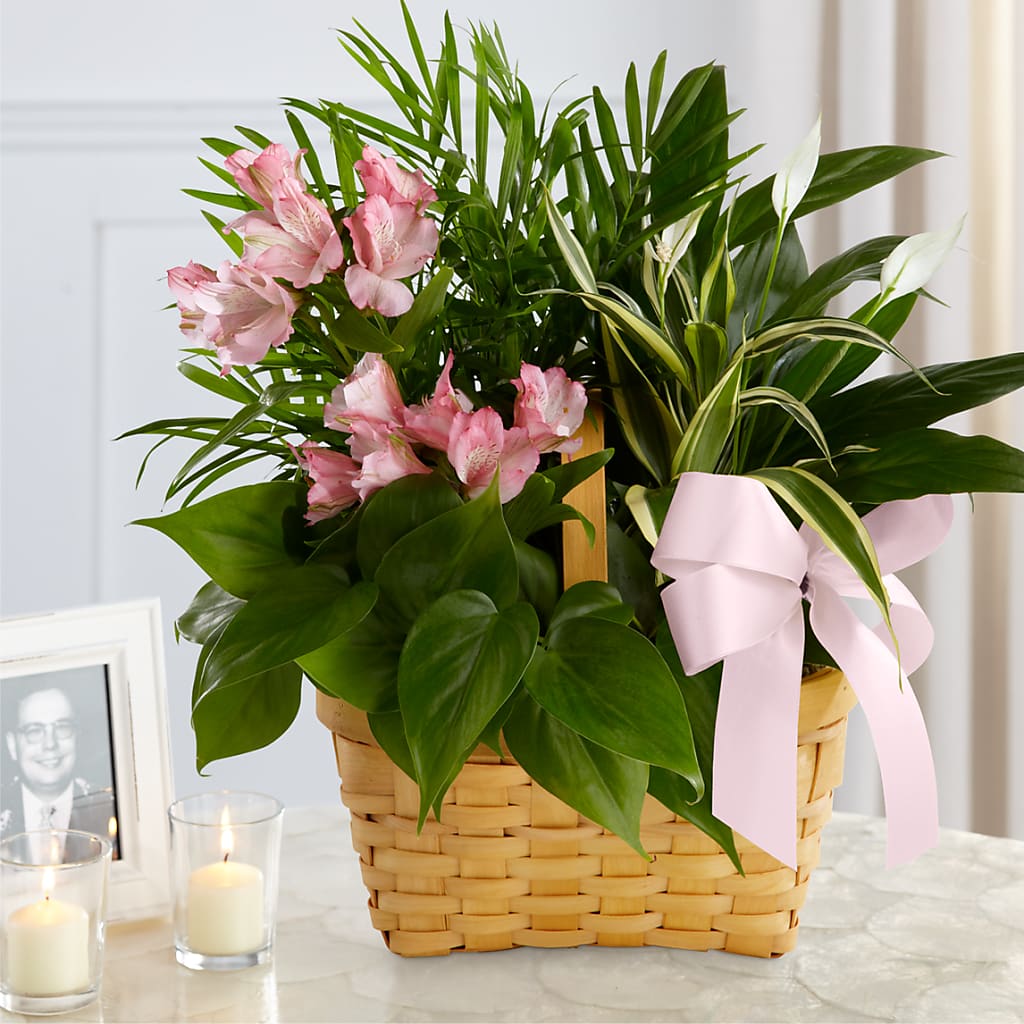 Living Spirit Dishgarden – HELEN'S FLORIST AND GARDEN CENTER, Whitehouse Station NJ