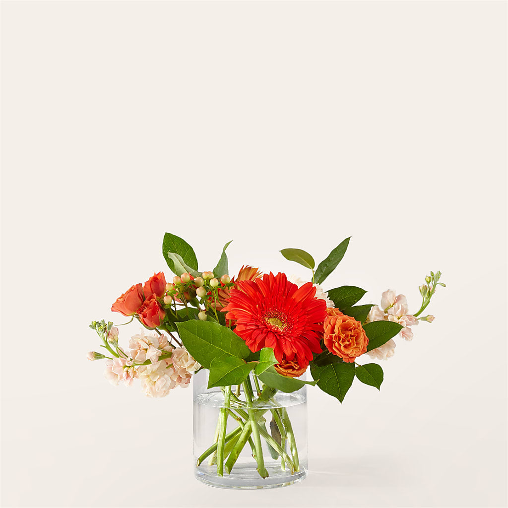 Paloma Please Bouquet – HELEN'S FLORIST AND GARDEN CENTER, Whitehouse Station NJ