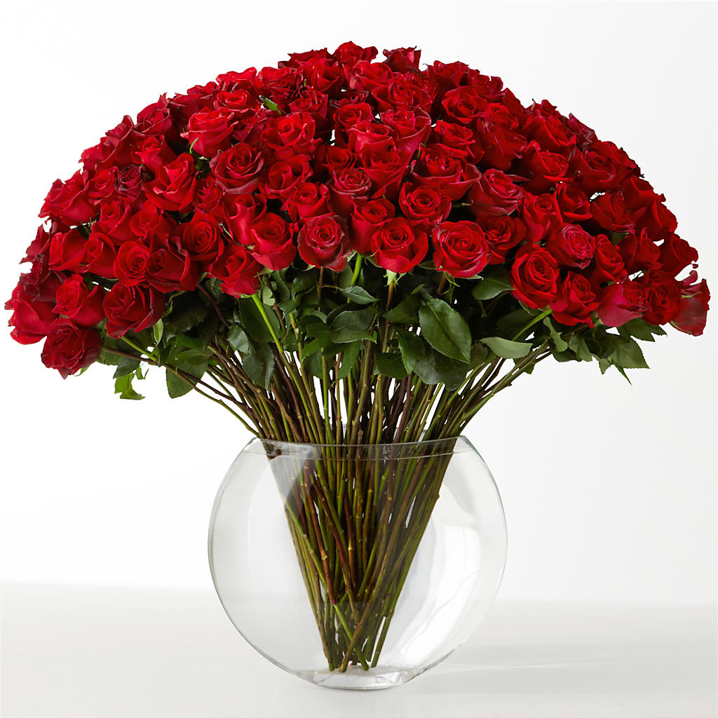 The Idealist – HELEN'S FLORIST AND GARDEN CENTER, Whitehouse Station NJ