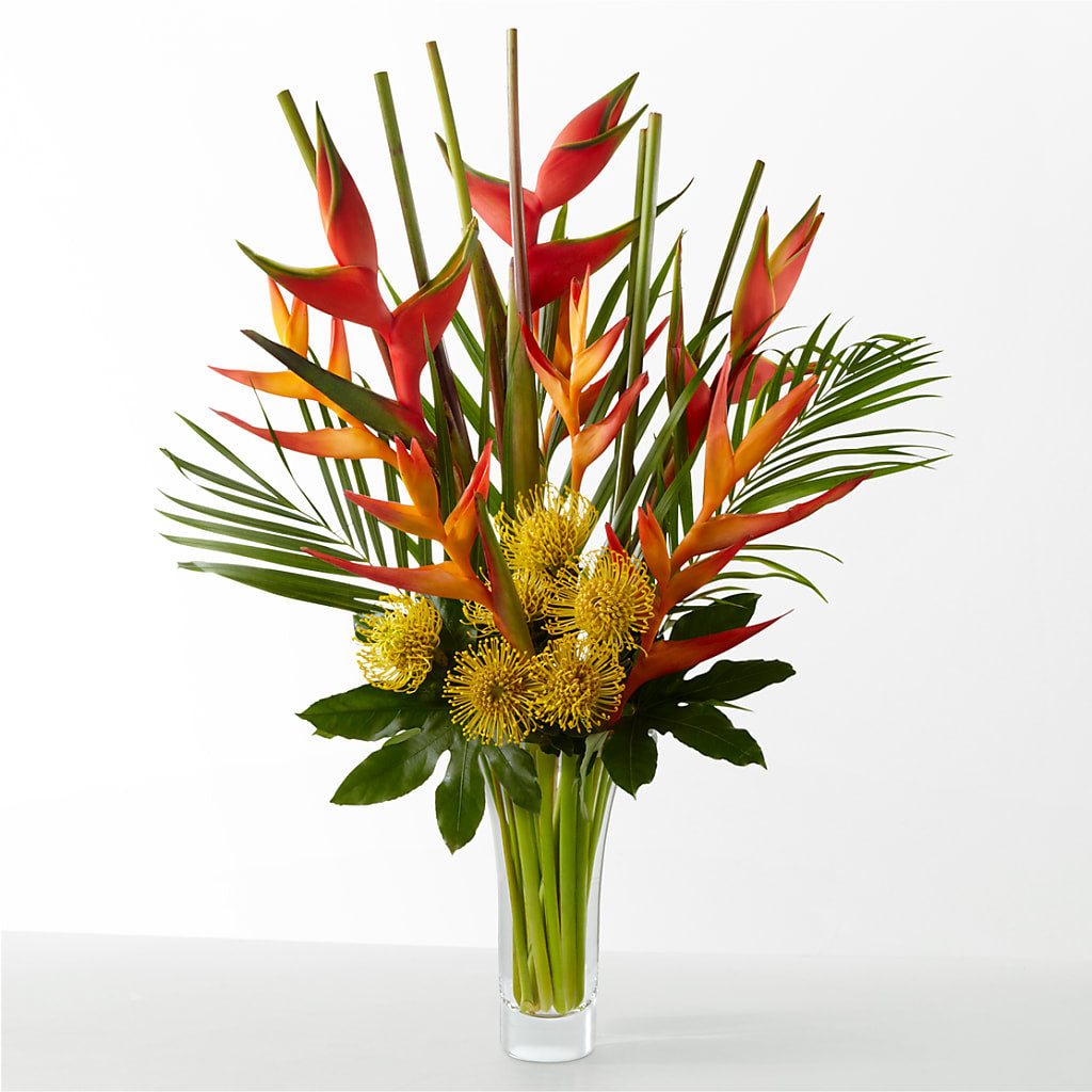 The Drama – HELEN'S FLORIST AND GARDEN CENTER, Whitehouse Station NJ