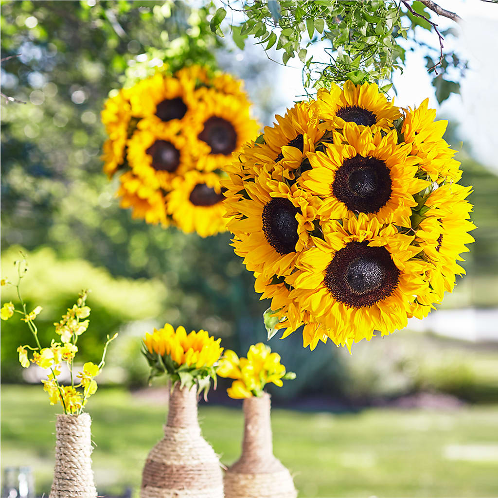 Sublime Garden Hanging Arrangement – HELEN'S FLORIST AND GARDEN CENTER, Whitehouse Station NJ