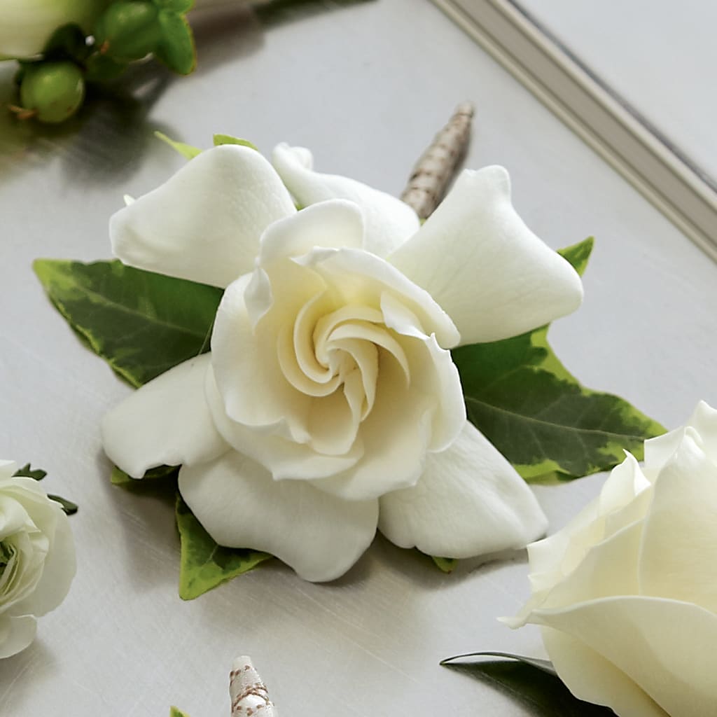 Gardenia Boutonniere – HELEN'S FLORIST AND GARDEN CENTER, Whitehouse Station NJ