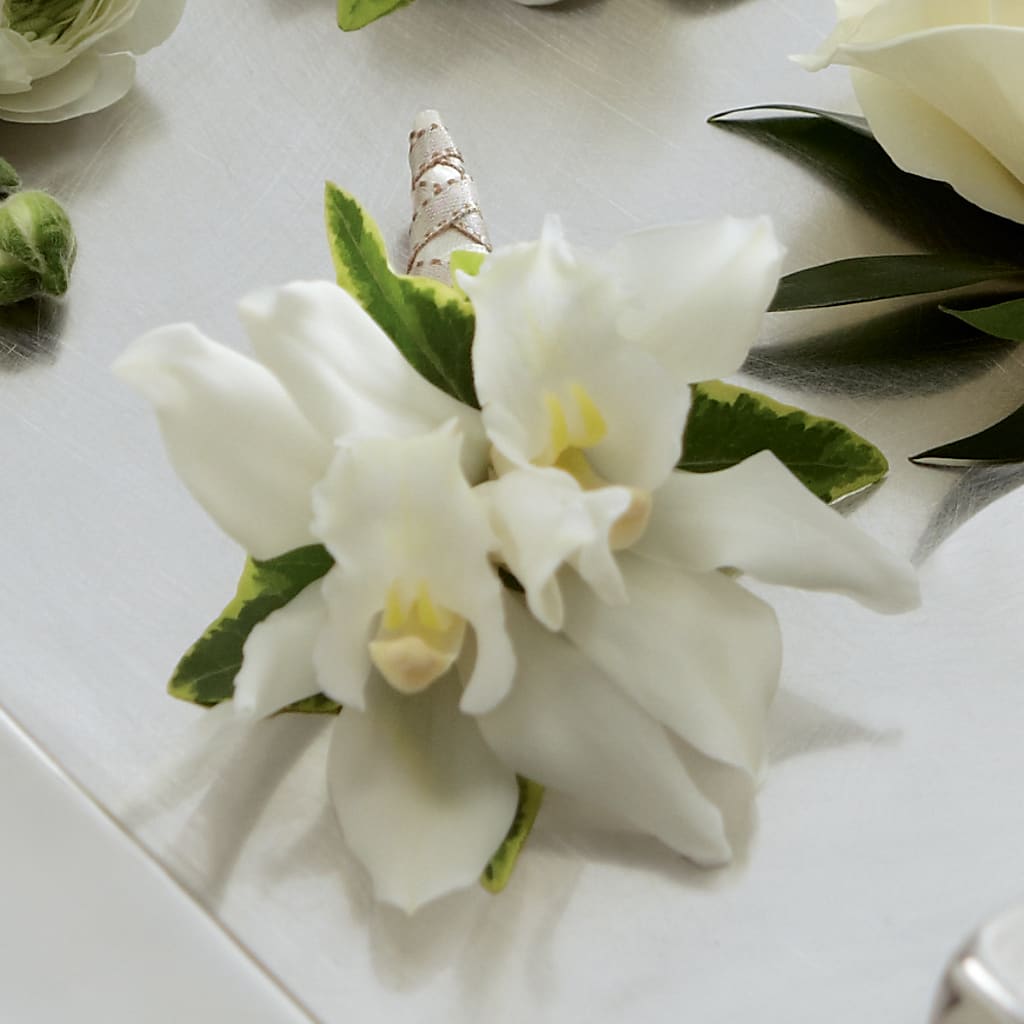 White Mini Cymbidium Boutonniere – HELEN'S FLORIST AND GARDEN CENTER, Whitehouse Station NJ