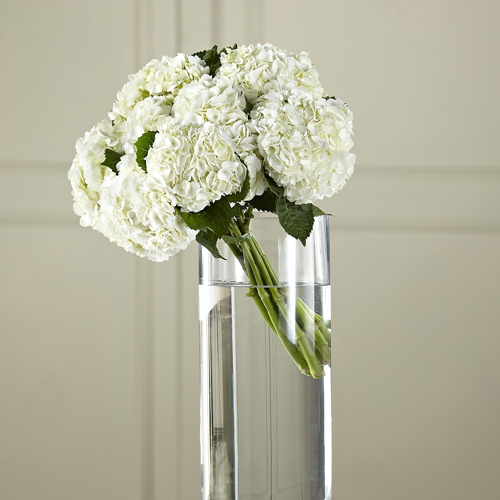 White Hydrangea Hand-Tied Bouquet – HELEN'S FLORIST AND GARDEN CENTER, Whitehouse Station NJ