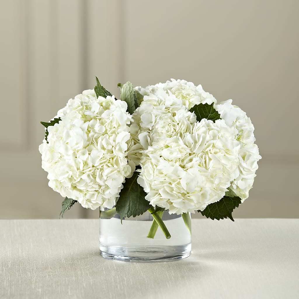 White Hydrangea Bouquet – HELEN'S FLORIST AND GARDEN CENTER, Whitehouse Station NJ