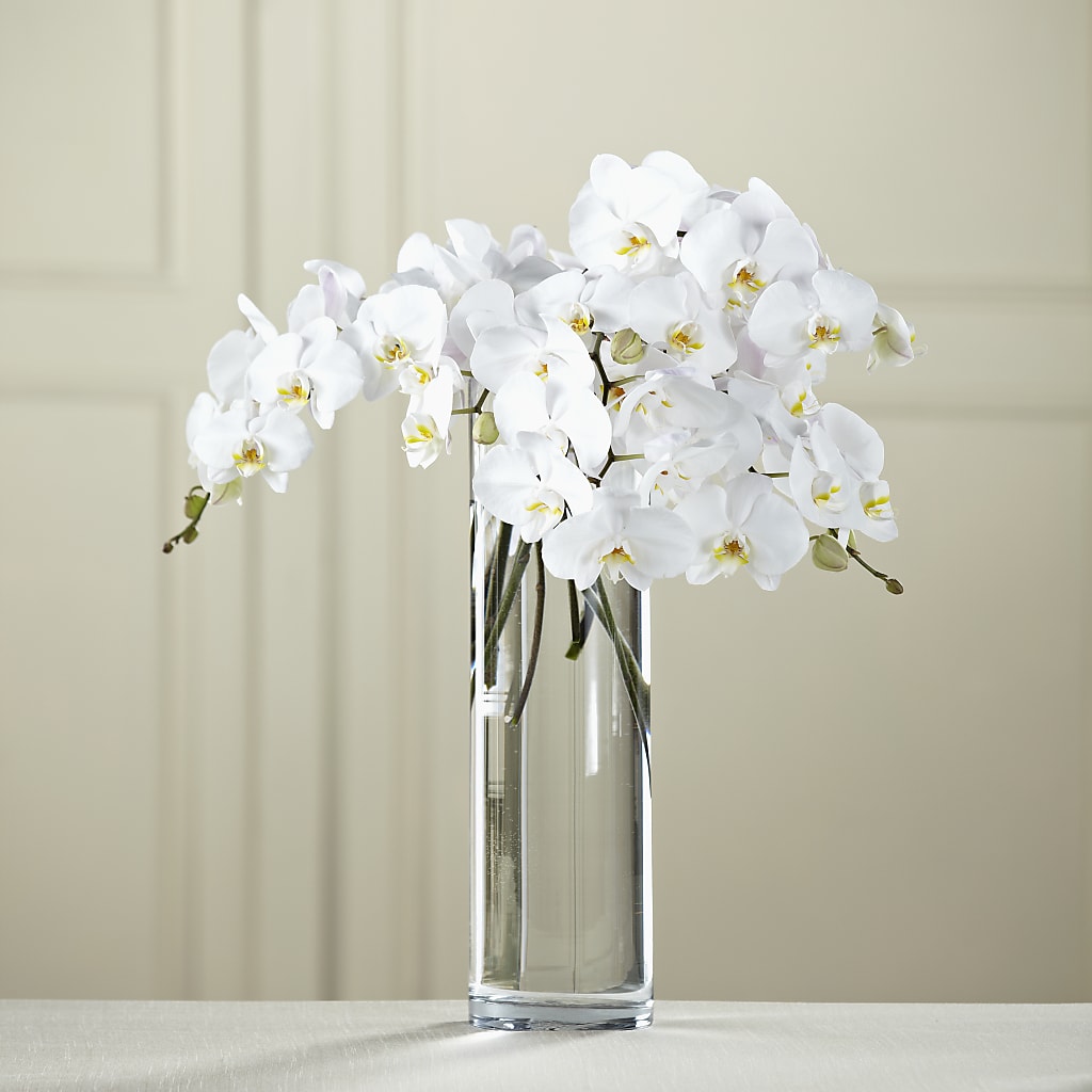 White Phalaenopsis Bouquet – HELEN'S FLORIST AND GARDEN CENTER, Whitehouse Station NJ