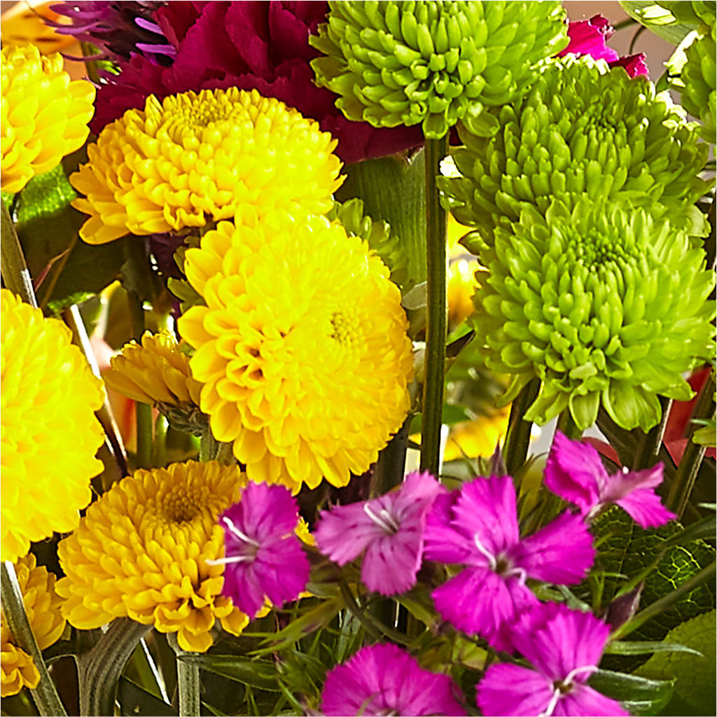 Bold & Bright – A Florist Original – HELEN'S FLORIST AND GARDEN CENTER, Whitehouse Station NJ