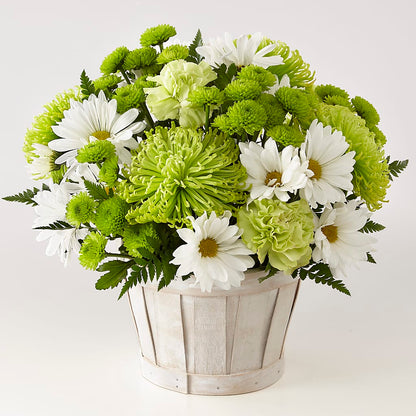 Lucky Charm Basket (Standard) – HELEN'S FLORIST AND GARDEN CENTER, Whitehouse Station NJ