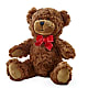 Adorable Plush Bear – HELEN'S FLORIST AND GARDEN CENTER, Whitehouse Station NJ
