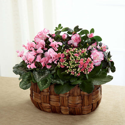 Pink Assortment – HELEN'S FLORIST AND GARDEN CENTER, Whitehouse Station NJ