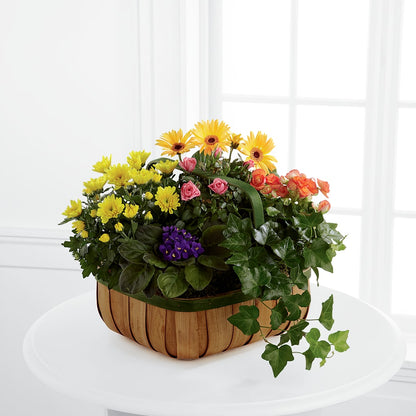 Gentle Blossoms Basket – HELEN'S FLORIST AND GARDEN CENTER, Whitehouse Station NJ