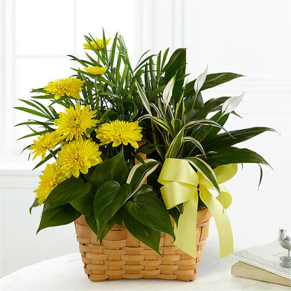 Loving Light Dishgarden – HELEN'S FLORIST AND GARDEN CENTER, Whitehouse Station NJ