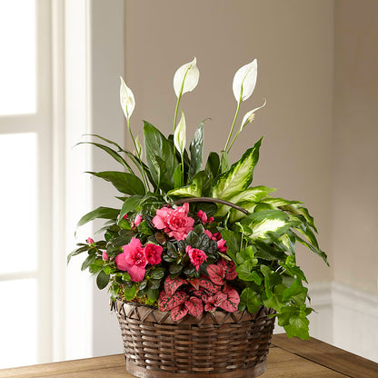 Dream in Pink Dishgarden – HELEN'S FLORIST AND GARDEN CENTER, Whitehouse Station NJ