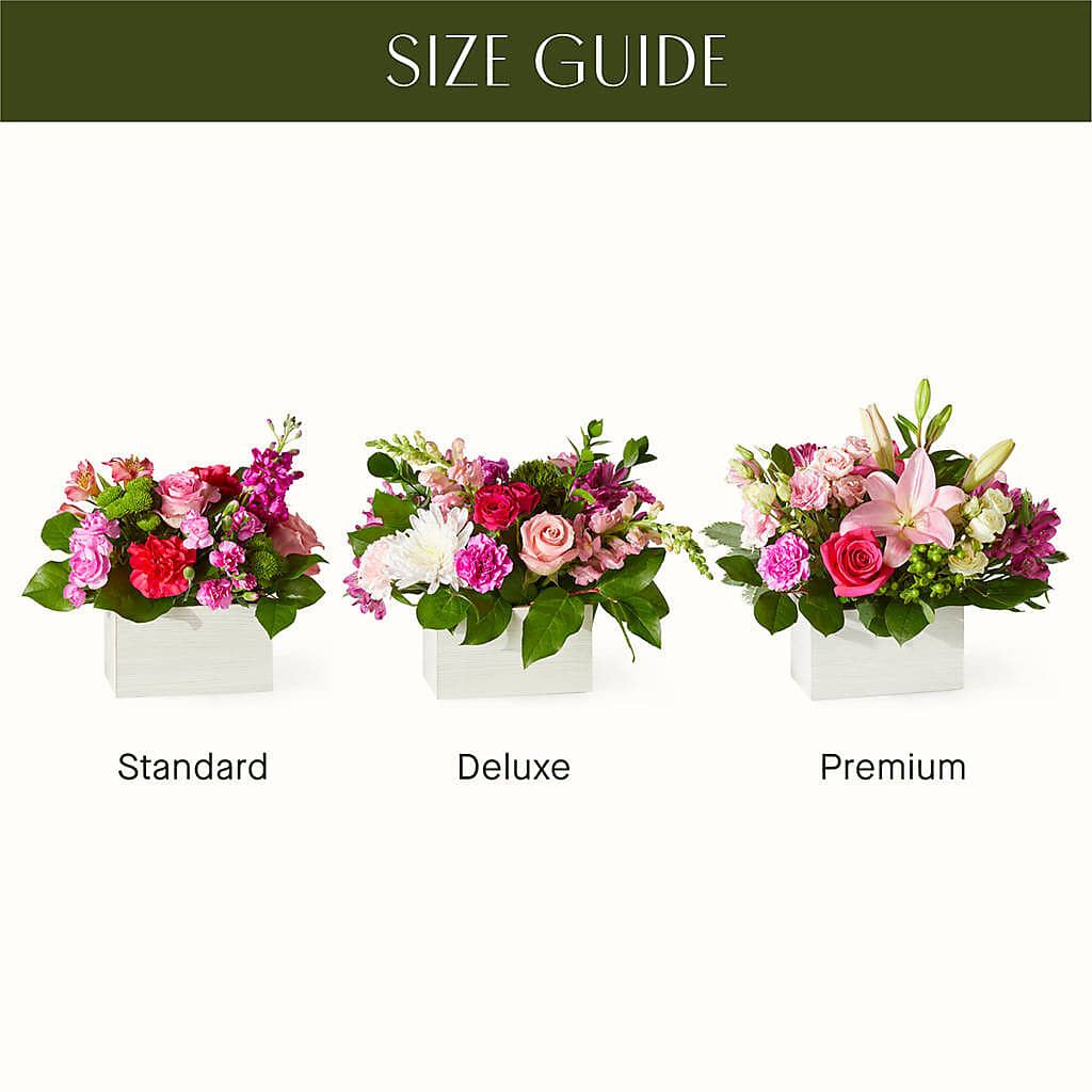 Sweetberry Box – A Florist Original – HELEN'S FLORIST AND GARDEN CENTER, Whitehouse Station NJ