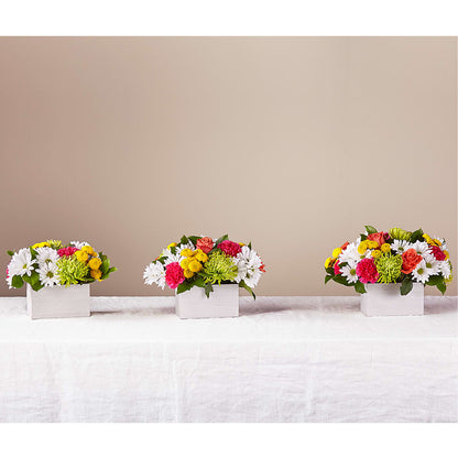 Sorbet Bouquet – HELEN'S FLORIST AND GARDEN CENTER, Whitehouse Station NJ