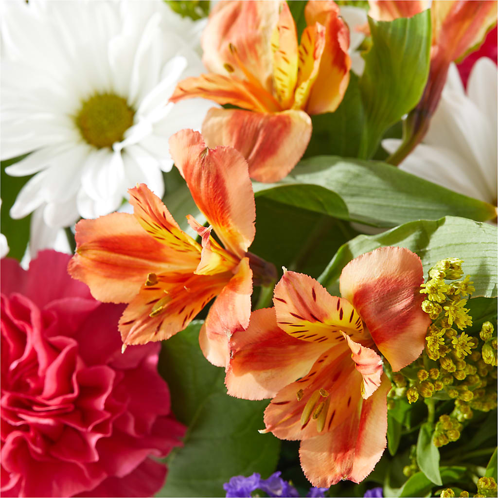 Oopsie Daisy Box Bouquet – HELEN'S FLORIST AND GARDEN CENTER, Whitehouse Station NJ