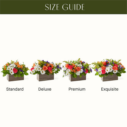 Oopsie Daisy Box Bouquet – HELEN'S FLORIST AND GARDEN CENTER, Whitehouse Station NJ
