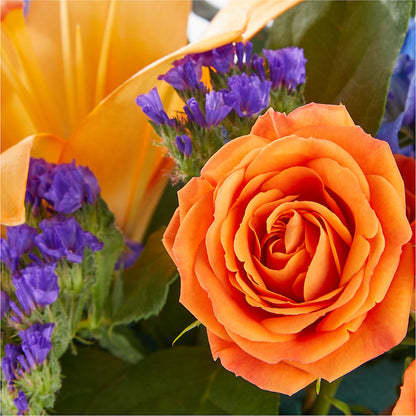 Radiant Citrus Box Bouquet – HELEN'S FLORIST AND GARDEN CENTER, Whitehouse Station NJ