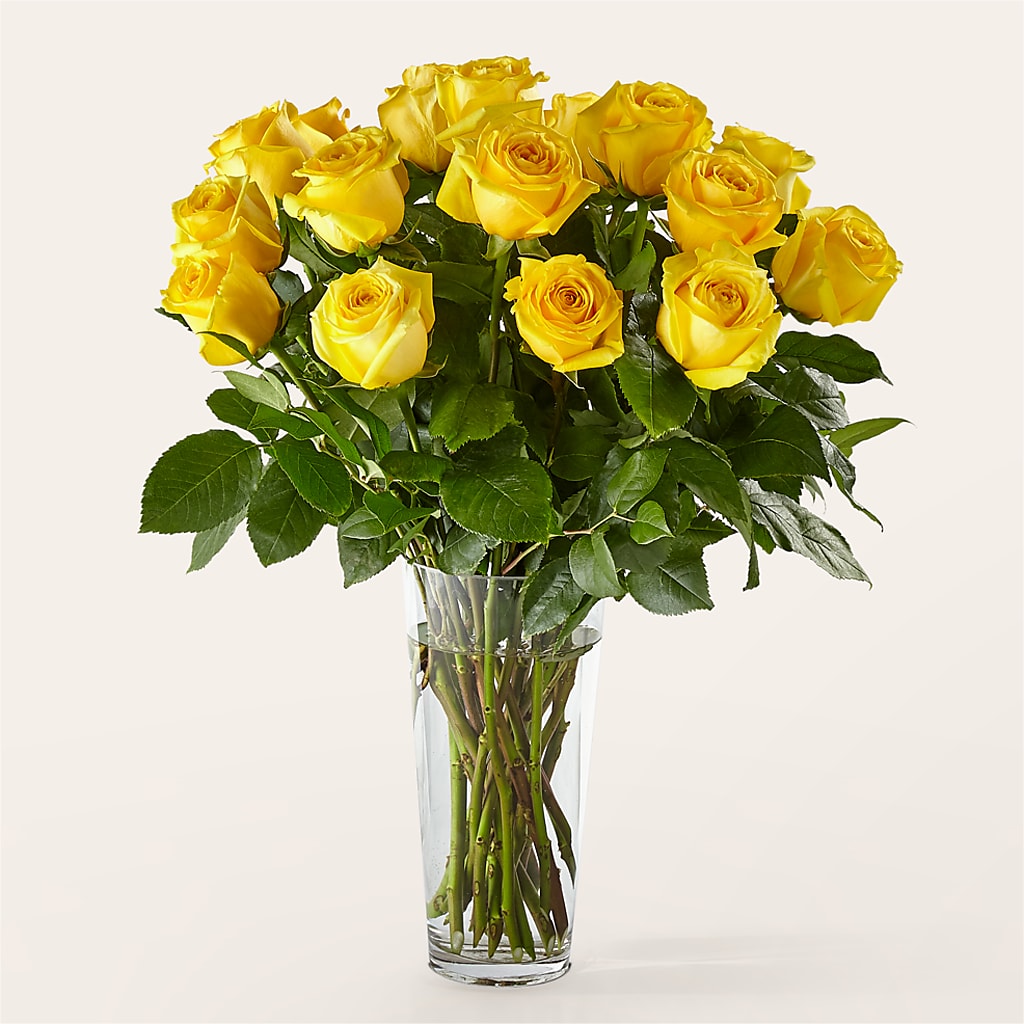 Long Stem Yellow Rose Bouquet – HELEN'S FLORIST AND GARDEN CENTER, Whitehouse Station NJ