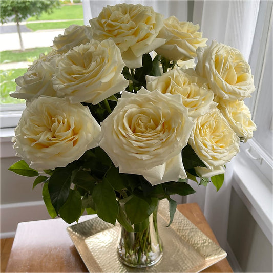 Long Stem Yellow Rose Bouquet – HELEN'S FLORIST AND GARDEN CENTER, Whitehouse Station NJ