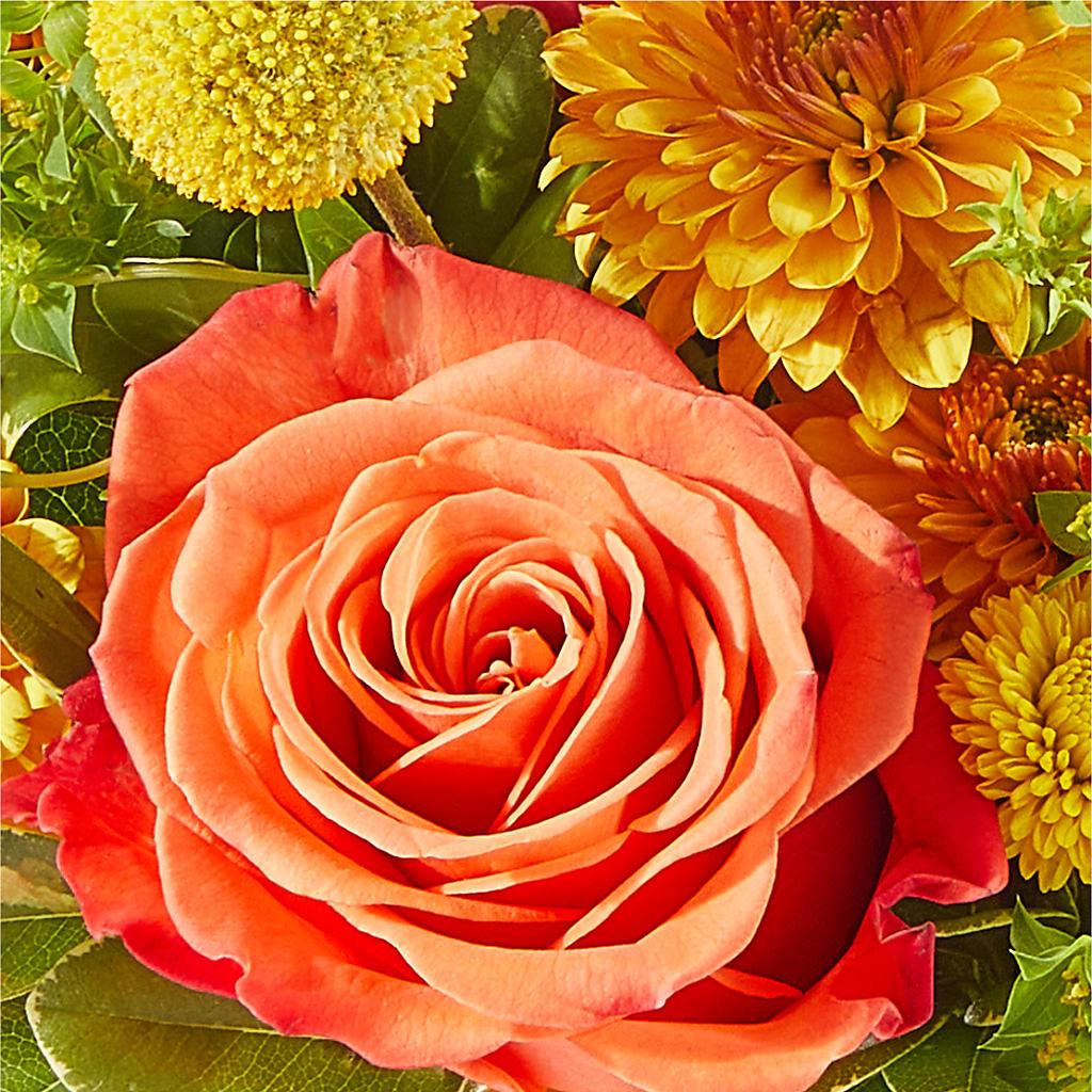 Gourdgeous Pumpkin – HELEN'S FLORIST AND GARDEN CENTER, Whitehouse Station NJ