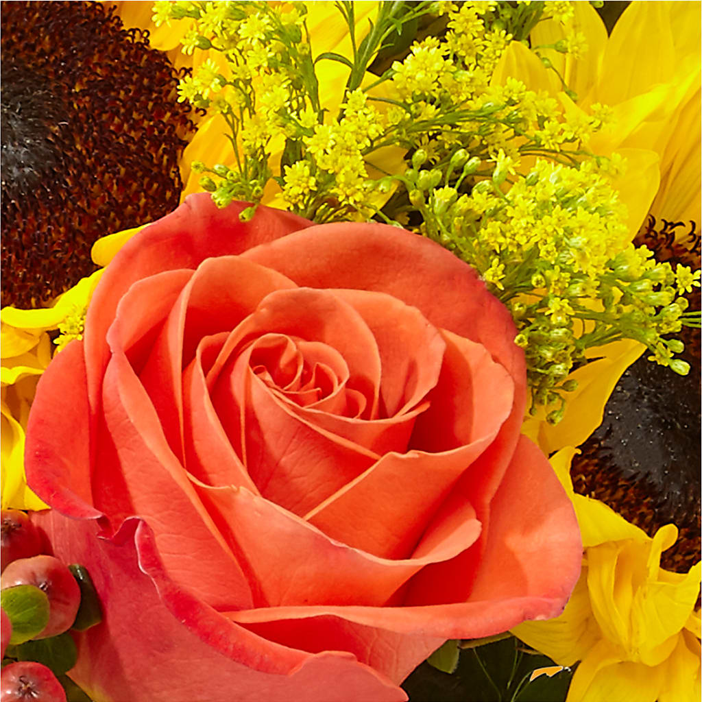 Pick of the Patch Pumpkin Bouquet – HELEN'S FLORIST AND GARDEN CENTER, Whitehouse Station NJ