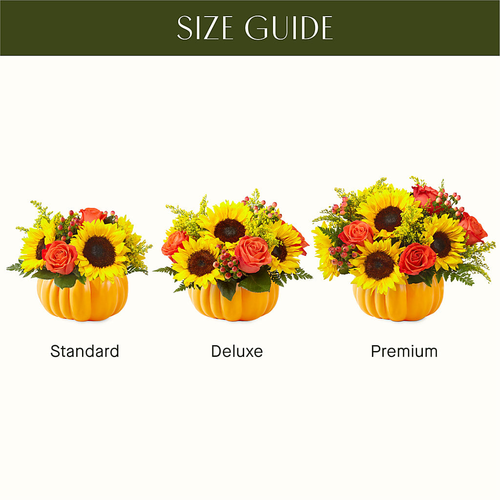 Pick of the Patch Pumpkin Bouquet – HELEN'S FLORIST AND GARDEN CENTER, Whitehouse Station NJ