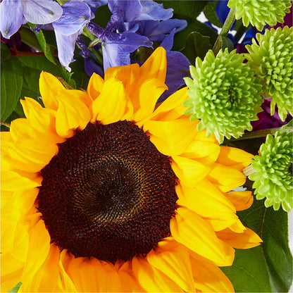 Catching Rays Bouquet – HELEN'S FLORIST AND GARDEN CENTER, Whitehouse Station NJ