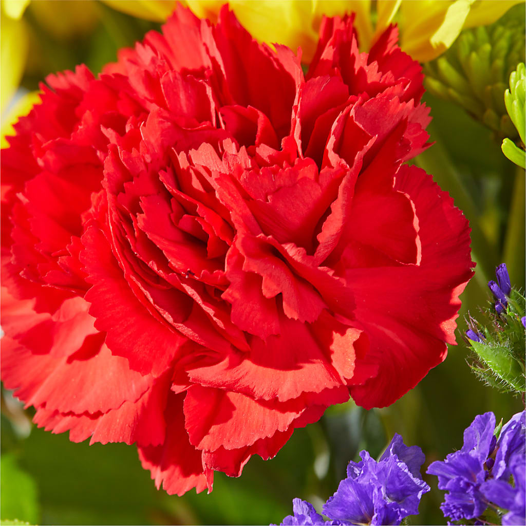 Brighter Days Bouquet – HELEN'S FLORIST AND GARDEN CENTER, Whitehouse Station NJ