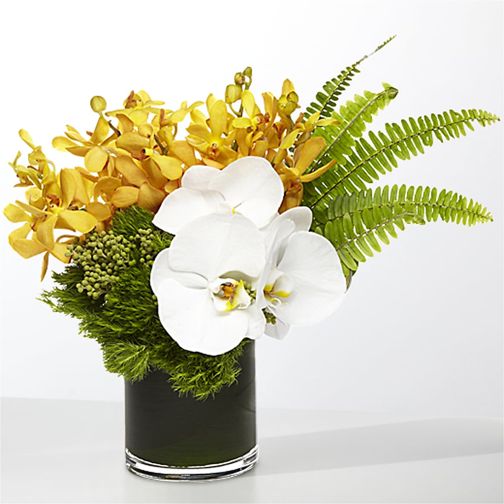 The Tropics – HELEN'S FLORIST AND GARDEN CENTER, Whitehouse Station NJ