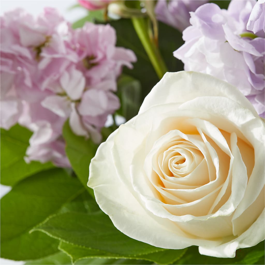 Springtime Spritz Bouquet – HELEN'S FLORIST AND GARDEN CENTER, Whitehouse Station NJ