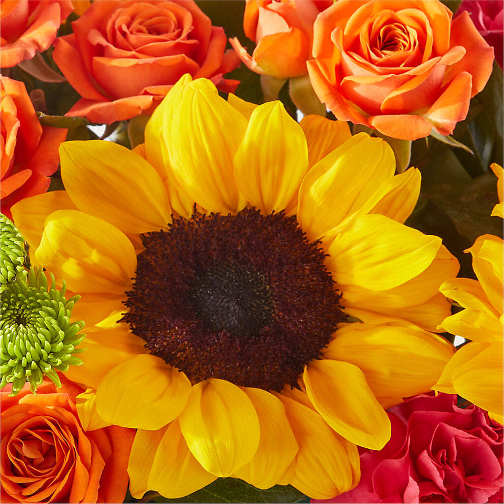 Sun-drenched Blooms Box Bouquet – HELEN'S FLORIST AND GARDEN CENTER, Whitehouse Station NJ