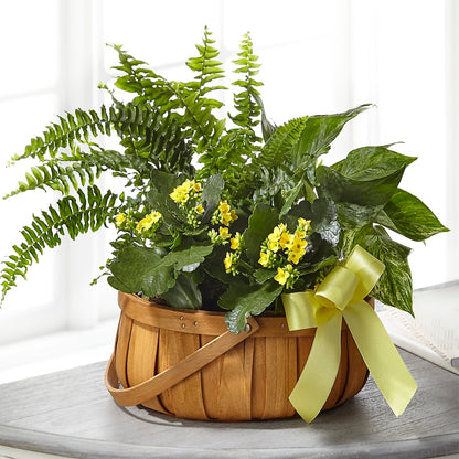 Always Dear Dishgarden – HELEN'S FLORIST AND GARDEN CENTER, Whitehouse Station NJ