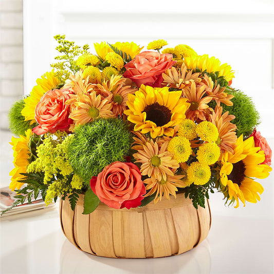 Harvest Sunflower Basket – HELEN'S FLORIST AND GARDEN CENTER, Whitehouse Station NJ