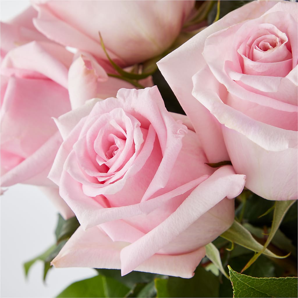 Picture Perfect Pink Rose Bouquet – HELEN'S FLORIST AND GARDEN CENTER, Whitehouse Station NJ