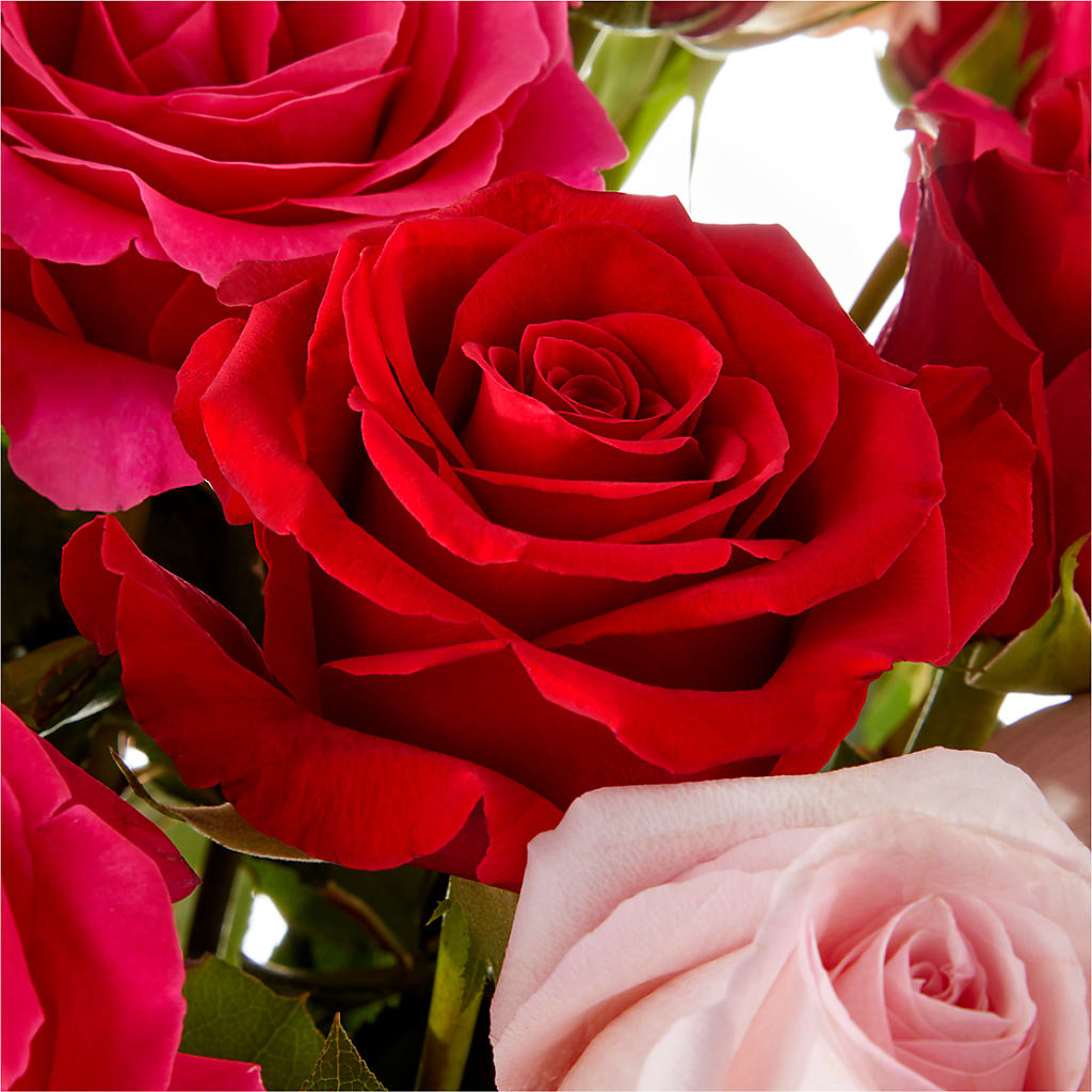 Love Notes Rose Bouquet – HELEN'S FLORIST AND GARDEN CENTER, Whitehouse Station NJ