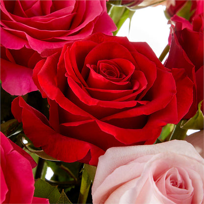 Love Notes Rose Bouquet – HELEN'S FLORIST AND GARDEN CENTER, Whitehouse Station NJ