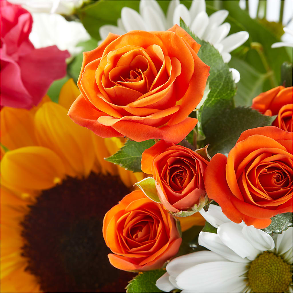 Sun-drenched Blooms Bouquet – HELEN'S FLORIST AND GARDEN CENTER, Whitehouse Station NJ